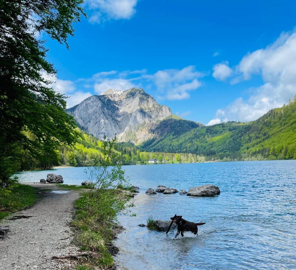 Kainzleitenhof Nachdemsee Exteriér fotografie